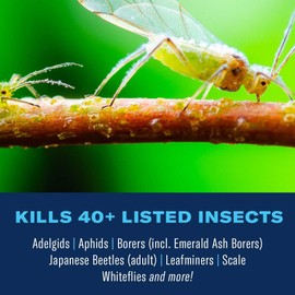 BioAdvanced 12 Month Tree and Shrub Protect and Feed II, Concentrate, 1 Gal, Outdoor Insect Killer