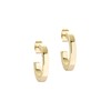 Ted Baker Senatta Crystal Hoop Earrings (Gold Tone/Crystal)