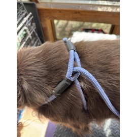 All in One No Pull Leash/Harness - Lead Me Leash - No Neck Damage - Stops Pulling-Blue-with Matching Key Chain