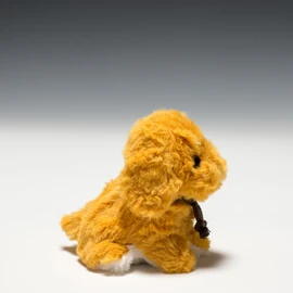 Candy Fontaine Golden Retriever