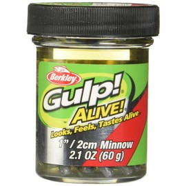 Berkley Gulp! Alive! Minnow Fishing Bait, Green Shiner, 1in, Extreme Scent Dispersion, Realistic Minnow Profile, Ideal for Bass, Trout, Walleye, Panfish and More