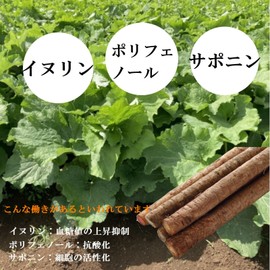 Whole Burdock Powder, Burdock Tea, Powder, Kyushu, Kagoshima Prefecture, Roasted with Skin, Decaffeinated, Inulin, Dietary Fiber (3 Bags)