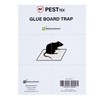 Restaurantware - Pest Tek 8.5 x 6.5 Inch Glue Traps,