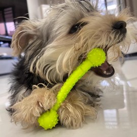6 Stück Hunde Kauspielzeug, 360° Saubere Haustierzähne und Beruhigen Juckreiz Kleine Hunde Welpenspielzeug Ring, Welpenzahnspielzeug, Gummi Welpen Spielzeug für kleine Welpen und mittelgroße
