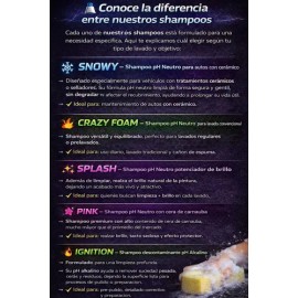 Shampoo Para Carrocería Ph Neutro Espuma Activa Concentrado                                                                                           