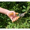 Royal Gardineer Hedge Shears: Bypass Secateurs with High Quality Carbon