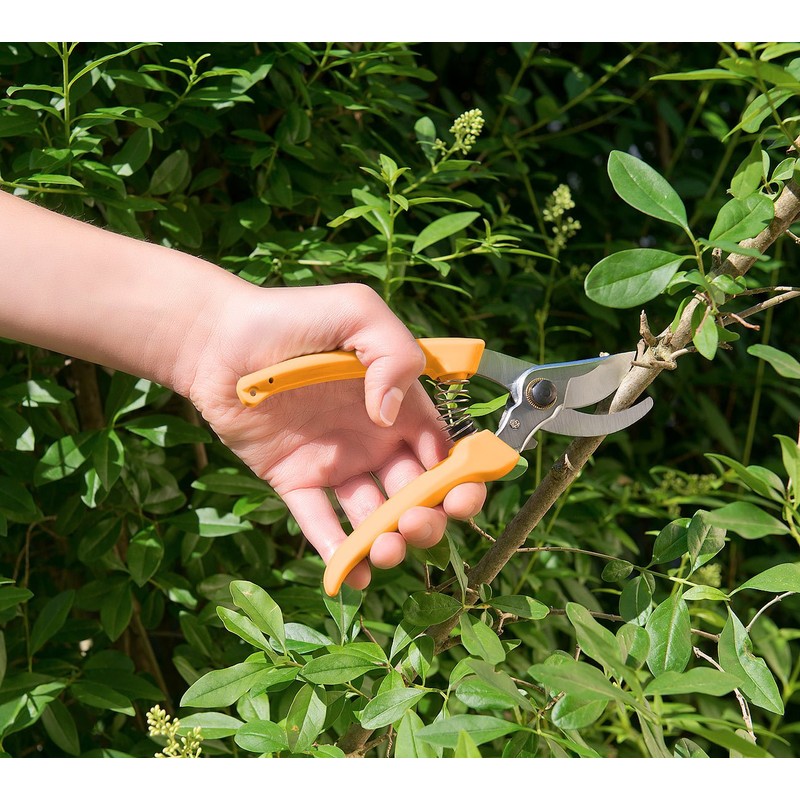 Royal Gardineer Hedge Shears: Bypass Secateurs with High Quality Carbon