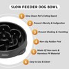 YINEYA 4 Cups Slow Feeder Dog Bowls Large Breed, Anti-Choking