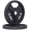 Signature Fitness Cast Iron Plate Weight Plate for Strength Training