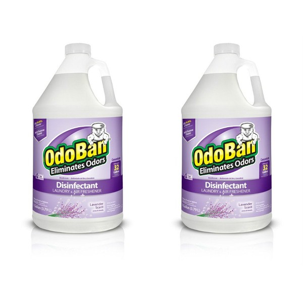 OdoBan Multipurpose Cleaner Concentrate, 2 Gal, Lavender Scent - Odor Eliminator, Disinfectant, Flood Fire Water Damage Restoration
