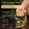 Feather Meal Organic Nitrogen Fertilizer
