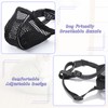 Dog Muzzle Adjustable Muzzle Soft Mesh Muzzle for Small Medium