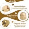 PHMING 10pcs Hex Acorn Nuts Cap Nuts M10 Brass GB923