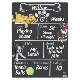 Cohas Monthly Milestone Board for Puppies with Reusable Chalkboard Style Surface, 12 by 16 Inches, No Marker