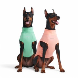 Spark Paws Dog T-Shirt, Quick Dry Soft Stretchy, Lightweight Breathable for Dogs with Sensitive Skin - Peach & Mint (Set of 2) - 2XL
