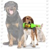 SILLY SQUEAKERS – Beer Bottles - Dog Toy - 100%