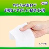 Lifeley Adult Wipes, Ultra Large Clean, 60 Sheets x 3,