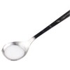 Pearl Metal ENJOY KITCHEN C-4748 Measuring Spoon