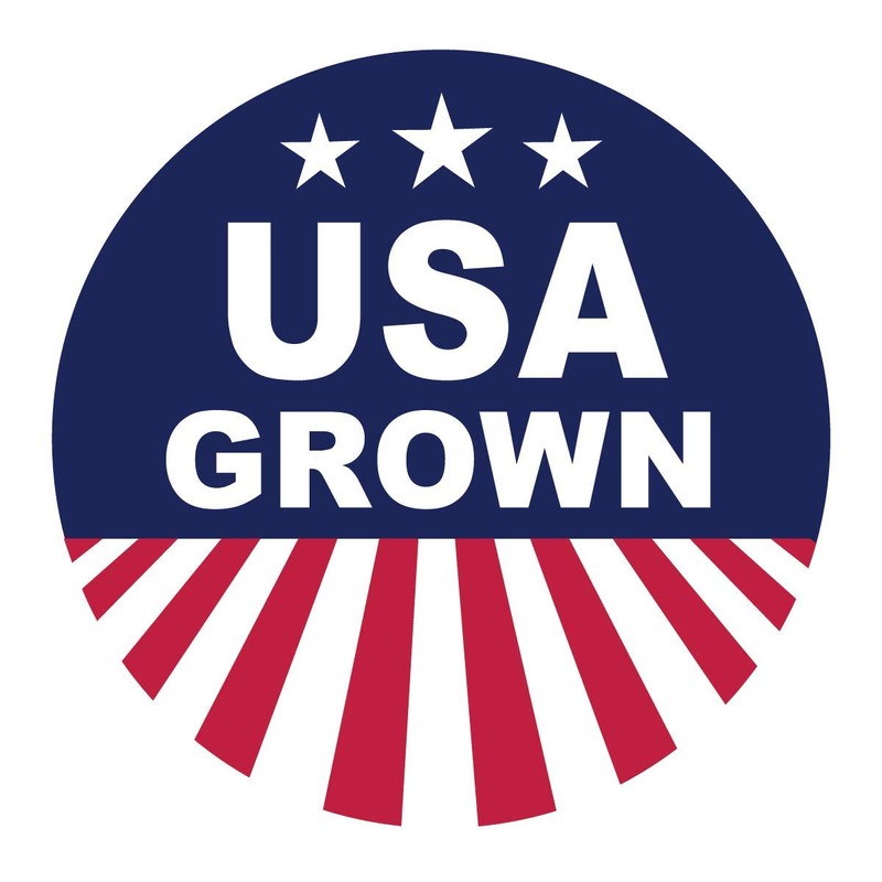 Stony Brook Brined & Roasted Pepitas, 3 ounce bags (Pack