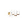 Hotel Collection Gold Set of 4 Double Old-Fashioned Glasses