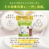 Choice Whey & Collagen Plus Protein, Matcha Flavor, 21.3 oz
