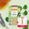 Burt's Bees 버츠비 2+1 레스큐 시카 스틱 듀오(+시카 스틱 증정) Burt's Bees 2+1 Rescue Cica Stick Duo (+ Cica Stick Gift)