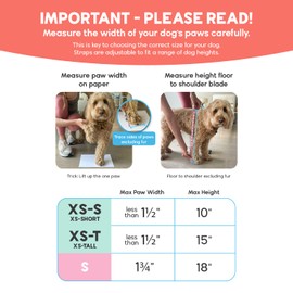 Walkee Paws Walkee Paws New Deluxe Easy-On, Dog Suspender Boot Leggings. Plus Chest Strap. Waterproof Booties for Small Dogs and Medium Sized Dogs, Protect Paws from Rain, Snow, and Snow Melt (XS-Tall, Black)