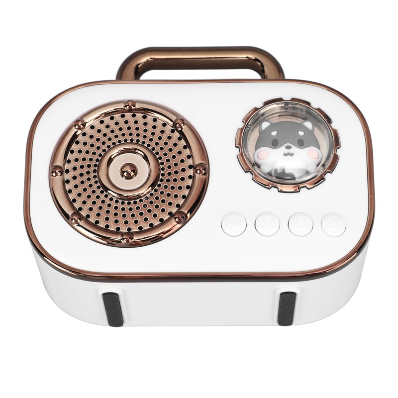 Bluetooth Speaker Mini USB Wireless Portable for Outdoor Car Cartoon