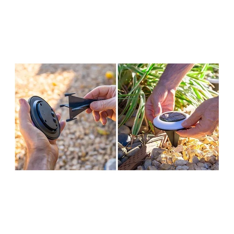 Brightology Colorize Solar Lights Color Change Ring Lights In-Ground 6