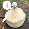 Duoduole 4 Pcs Coconut Opener Tool Stainless Steel Coconut Hole