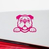 ANGDEST CLUB Decal Stickers of Bulldog Peeking (Pink) Premium Waterproof
