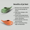 WG inc Ceramic Neti Pot for Nasal Cleansing