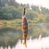 BESPORTBLE 2pcs Realistic Simulation Bait Propeller Lure Bait Hard for