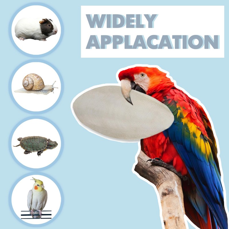 Jmxu's 3.5"-4" Cuttlebone for Birds Parakeets, Cuddle Bone with Metal