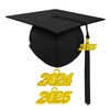 Herrenbek Graduation Master Cap and Gown Master Regalia with Black