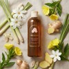 salon house JUNGSAEMMOOL Salonjip Scalp Renewing Shampoo Oil Root Scalp