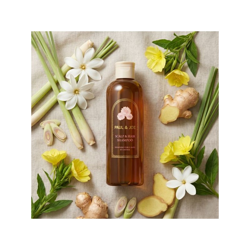 salon house JUNGSAEMMOOL Salonjip Scalp Renewing Shampoo Oil Root Scalp