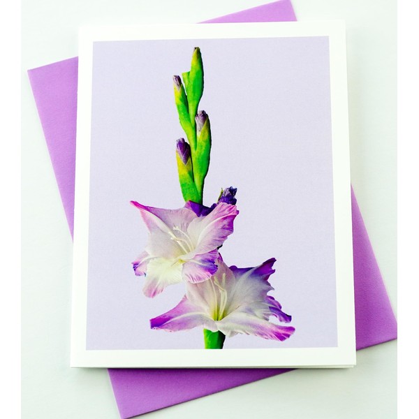 Sunshine Expressions Blooming Flowers – Purple Gladiolus – High End