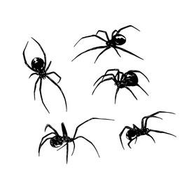 Generic Black Spider Stickers for Car Auto SUV Van Truck Window Wall Laptop