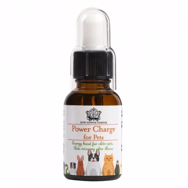 Flower Essence (DTW), Power Charge, Pet Therapy, Elderly Dogs, Pets During and After Sickness, Plant Therapy, Mental Health, Care, For Stressed Pets With Decreased Vigor and Appetite, Plant-Based