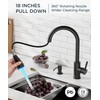 FORIOUS LED Kitchen Faucet with Soap Dispenser and Pull Down