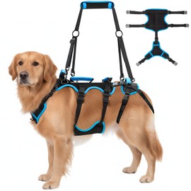Yeyeplum Dog Lift Harness for Large Male Dogs, 2-in-1, Back Leg Support & Mobility Assistance for Senior Dogs, Post-Surgery Recovery Sling(X-Large)