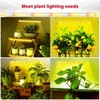 Grow Light 10 Kinds Brightness LED Lamp Beads Portable One