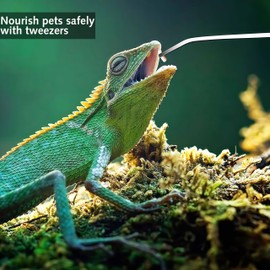 Reptile Feeding Tongs, 2Pcs Stainless Steel Feeding Tongs Long Tweezers Aquarium tweezers Rubber Tipped tweezers Straight and Curved Long Tweezers Terrarium Feeder Tool for Fish Tank Plant Aquascape