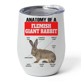 Brown Flemish Giant Rabbit Tumbler 12oz - Funny Anatomy Chart Design - Stainless Steel Vacuum Insulated Wine Cup With Lid - Gifts for Rabbit Lovers
