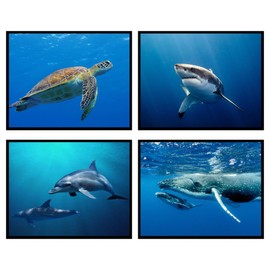 Insire Ocean Print Poster, Whale Shark Poster, Whale Poster, Dolphin Poster, Whale Pictures, Sea Turtle Poster, Dolphin Posters for a Wall, Shark Posters for Walls - Unframed (8x10”)