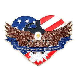 USA Veterans Day Lapel Pin Badge Brooch With Box Memorial Day Military Patriotic Decorations Gifts Memorabilia