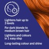 Schwarzkopf LIVE Colour + Lift, Long-Lasting Permanent Copper Hair Dye,
