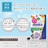 ISDG 爽快酵素 サプリ 232種類の天然野菜と果物 複合植物醗酵粉末 ビフィズス菌 プレミアム コレウスフォルスコリ配合 ダイエット 消化酵素