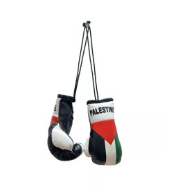 Mini Palestine Boxing Glove / Palestine Flag / Palestine Boxing Glove